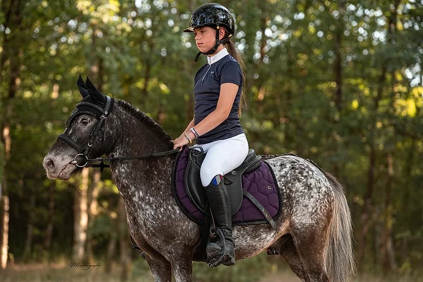 Jeune cavalière sur un shetland gris pommelé, tapis de selle violet, en sous-bois